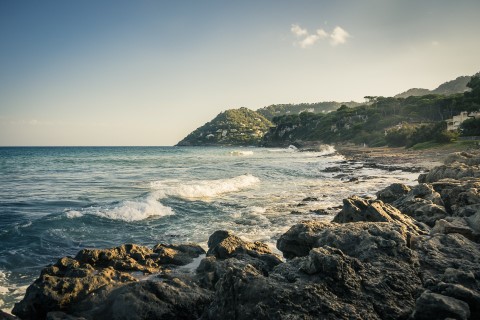 playa de canyamel